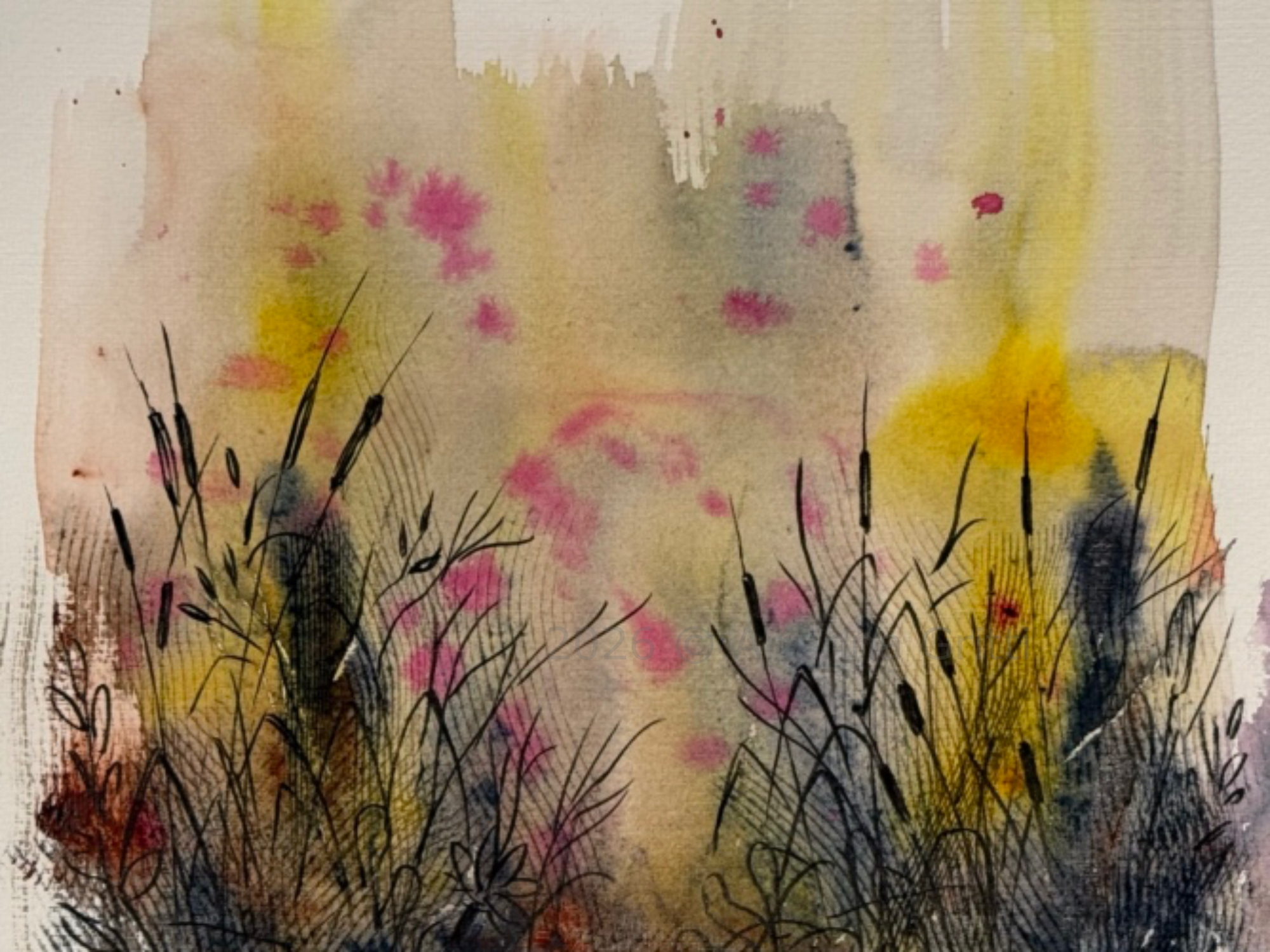 Arianna Gritti - illustrazioni - acquarello