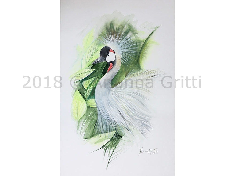 Arianna Gritti - Wildlife Art - Gru coronata