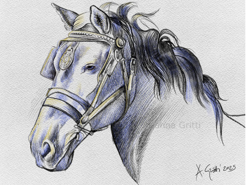 Arianna Gritti - cavalli - studio di cavallo da tiro