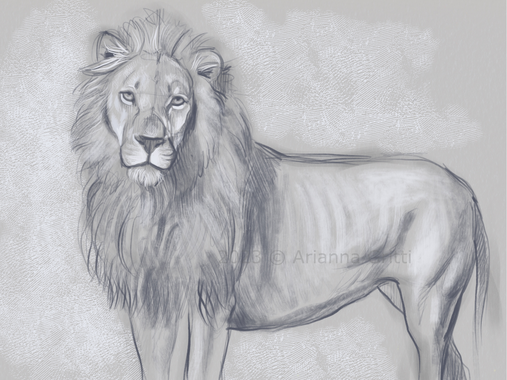 Arianna Gritti - Studi e schizzi - Leone in digital art