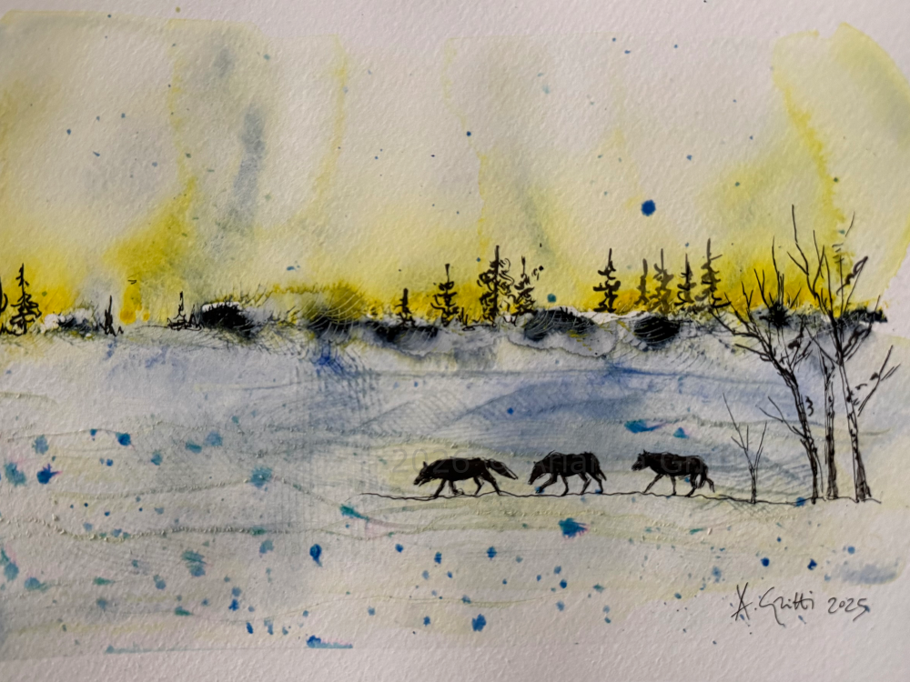 Arianna Gritti - illustrazioni - acqua