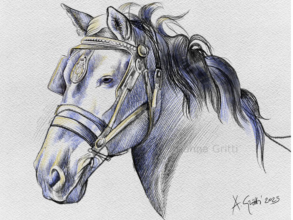 Arianna Gritti - cavalli - studio di cavallo da tiro