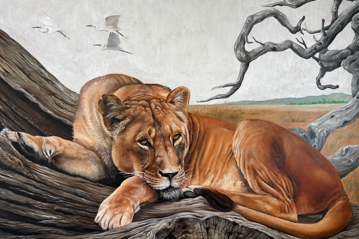 Arianna Gritti - Wildlife art